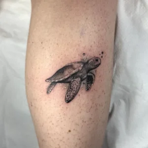 Turtle tattoo in fine line